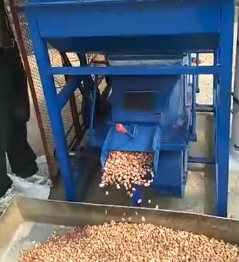 運行中的花生剝殼機 運行中的花生剝殼機